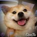 Chen jiu (@chenjiu1324) Twitter profile photo Chen jiu (@chenjiu1324) Twitter profile photo