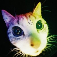 Zee ⭐ (@im_zeebug) 's Twitter Profile