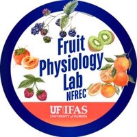UF IFAS NFREC Fruit Physiology Lab (@fruitphysiology) 's Twitter Profile Photo UF IFAS NFREC Fruit Physiology Lab (@fruitphysiology) 's Twitter Profile Photo