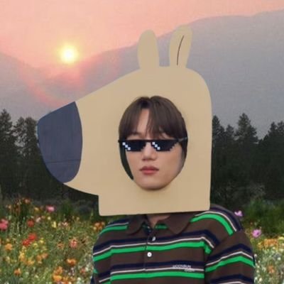 GomKai 🐻さんのプロフィール画像