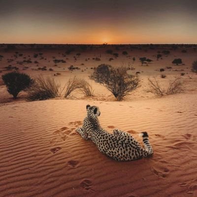 Kaiser_bm's profile picture. Enjoy... Simply