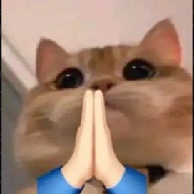 jalankaki10k's profile picture. 