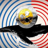 Xrp Whale π (@_xrp_whale_) 's Twitter Profile