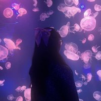 Katzie (@katzie_tft) 's Twitter Profile Photo Katzie (@katzie_tft) 's Twitter Profile Photo