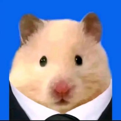 ltnra83414863's profile picture. 去中心化信仰者，构建者优先。Not your keys, not your coins.