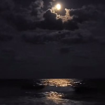 بـَـحـر 🌊 Profile