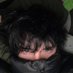 jaden (@dgjaden) Twitter profile photo jaden (@dgjaden) Twitter profile photo