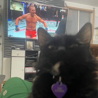 Soy una gatita Carey muy qermosa, cariñosa, tierna y muy intrépida, por eso soy la Kami the baddy!