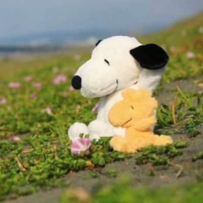 ucaq4's profile picture. 