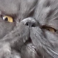 Nothing is real. (@eojlc89) 's Twitter Profile