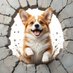 Corgi Lovers community 🇺🇲 (@corgihugsclub) Twitter profile photo Corgi Lovers community 🇺🇲 (@corgihugsclub) Twitter profile photo