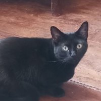 Patitas peludas 2πΈππβπ¦Ίπ (@fuent93837) 's Twitter Profile