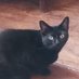 Patitas peludas 2😸🐕🐕🦺🐈 (@fuent93837) Twitter profile photo Patitas peludas 2😸🐕🐕🦺🐈 (@fuent93837) Twitter profile photo
