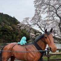 くまっち🧸 (@kumadanuupa) 's Twitter Profile