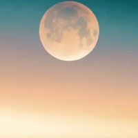 🦉📻🎫ニコン🕯️🖊️🕰️ (@wa_kon123) 's Twitter Profile