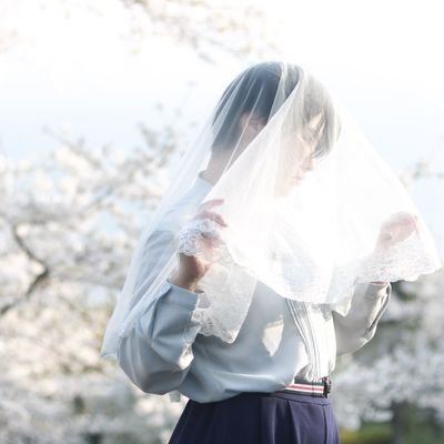 Pinoは一生部屋を片しているさんのプロフィール画像