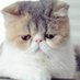 NA MA (@nama68824) Twitter profile photo NA MA (@nama68824) Twitter profile photo