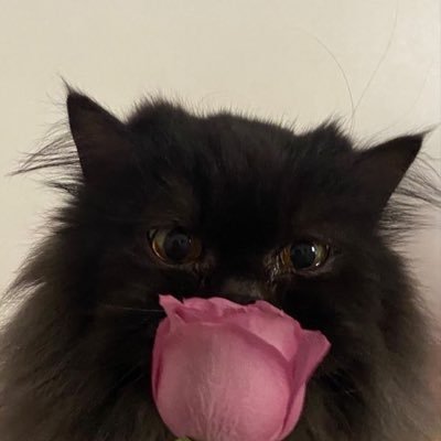 Elizabethb56289's profile picture. 