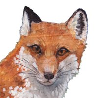 Gwynne Rohrs🪩🦆🦖🦐 (@gwynnerohrs_) 's Twitter Profile