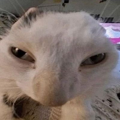 srban96828888's profile picture. não fazia parte do potrocolo