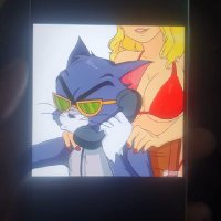 Bandit boy (@kycbandit) 's Twitter Profile