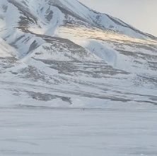 DanniellaLeong's profile picture. 💍Donne Klein 1978