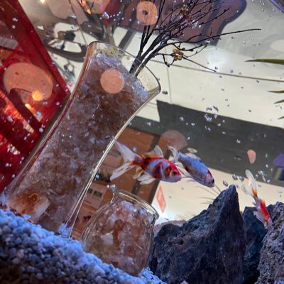 YOASOBI_0701's profile picture. 27歳男性結婚してます！主にモンハンワイルズ、BO6やってます！モンハン好きの皆様仲良くしてください！