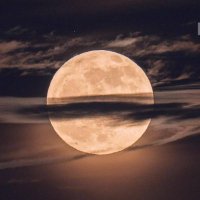 Tamer (@najjar_tamr) 's Twitter Profile