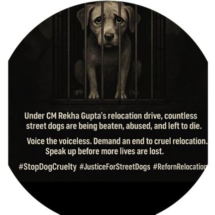 Strategic Communications and Advocacy | Animal Rights | Women Empowerment | Labour Rights | Gender | Education