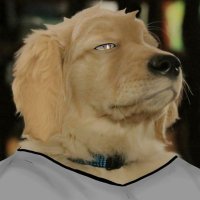 P.DW (@p4l4s4rt) 's Twitter Profile