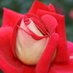 Sidu★(^_-)-☆ (@ogvzebsielroper) Twitter profile photo Sidu★(^_-)-☆ (@ogvzebsielroper) Twitter profile photo