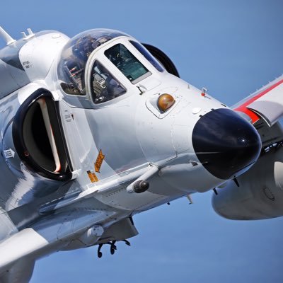 Lil_Hawk_56's profile picture. I LOVE THE A4 SKYHAWK| furrys are cool too | I also play WAR THUNDER.(VC-8)