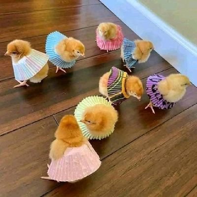 NichoTec's profile picture. Am good...