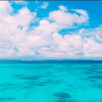 w7 (@team__w7) 's Twitter Profile