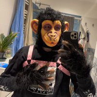 Waffle the Pissing Ape ๐ต๐๐ฎ๐น๐ธ๐ฎ (@waffletheape) 's Twitter Profile