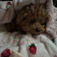 SOL Z3st (@z3stdayon) Twitter profile photo