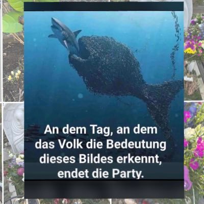 Mar_Tina_73's profile picture. Ich bin wie ich bin. Die Einen kennen mich, die anderen Können mich! Ungeschlumpft💙nur2Geschlechter💙Heimatliebe💙Frieden🕊️💙🇩🇪💙🇩🇪💙🙏🏼👊🏼