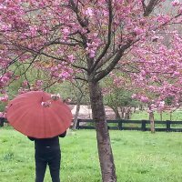 Sergio Martínez (@sergio_meson) 's Twitter Profile Photo Sergio Martínez (@sergio_meson) 's Twitter Profile Photo