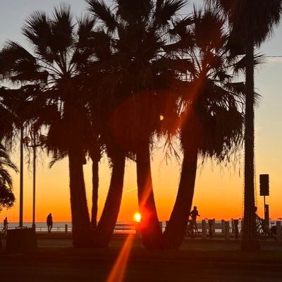 Amel1r's profile picture. ☮️☮️