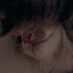 Elif (@turkielf) Twitter profile photo Elif (@turkielf) Twitter profile photo