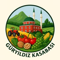 Güryıldız Kasabası (@gurcuky60) 's Twitter Profile