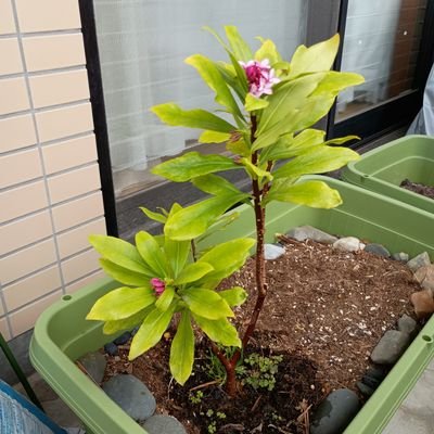 2025年4月からITエンジニアになるための勉強を始めました。初心者のため使える言語はゼロですが、日々の積み重ねで確実に成長できるよう頑張ります。