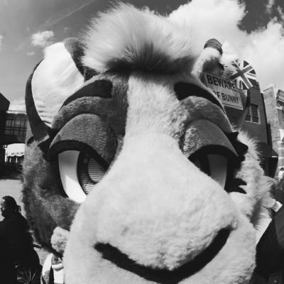 Ave Christus Rex|Runny Babbit/demi|24|IT💻|Star wars?|shitposting| give me oatmeal|fursuits @lemonbrat @arcane_canine |DMs 👍