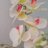 z1628172045049's profile image