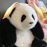 AI_Ann.bnb (@yz9495) 's Twitter Profile Photo AI_Ann.bnb (@yz9495) 's Twitter Profile Photo