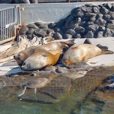 ちい活、おぶ活メイン、その他好きなものたち用垢です。うさぎ、ゼリーさん、子猫さん推し。