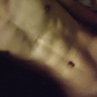 Oott (@otterlock090) 's Twitter Profile