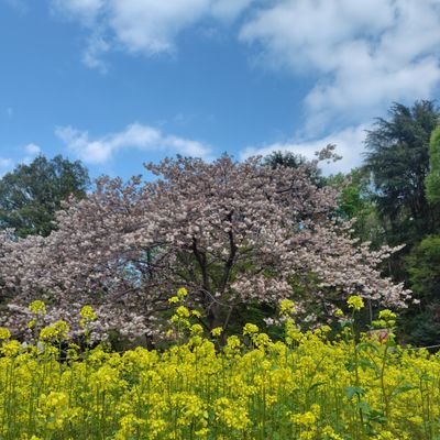 吉祥寺や井の頭公園はホットスポット。
東京都出身、HSP気質かな、創価大学経営学部卒、門脇誠ファン、風景や花の写真撮るのが好き