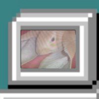 Wil Soot (@wilgoldsoot) 's Twitter Profile