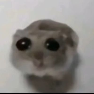 baconb70311's profile picture. 